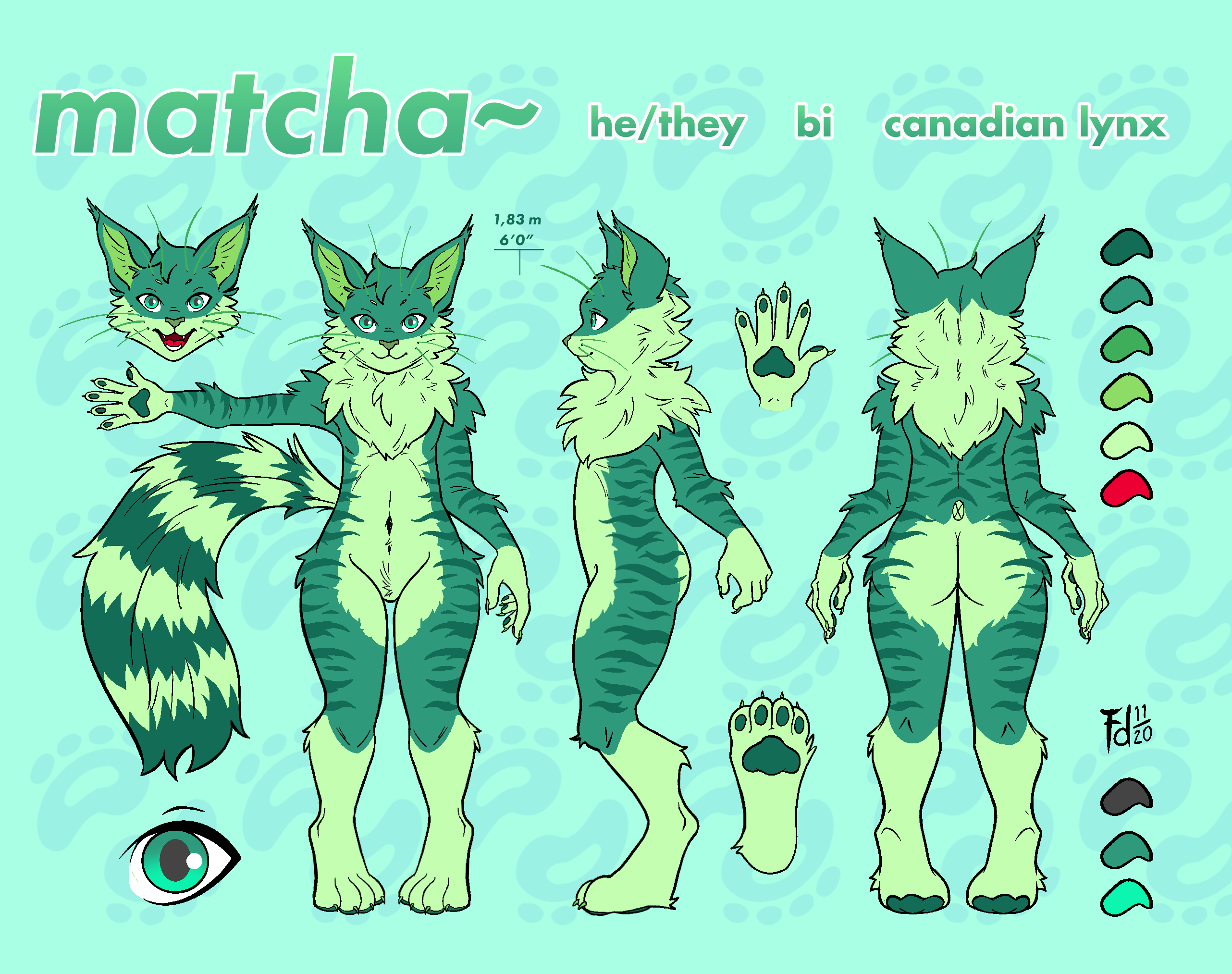 Reference sheet of matcha~